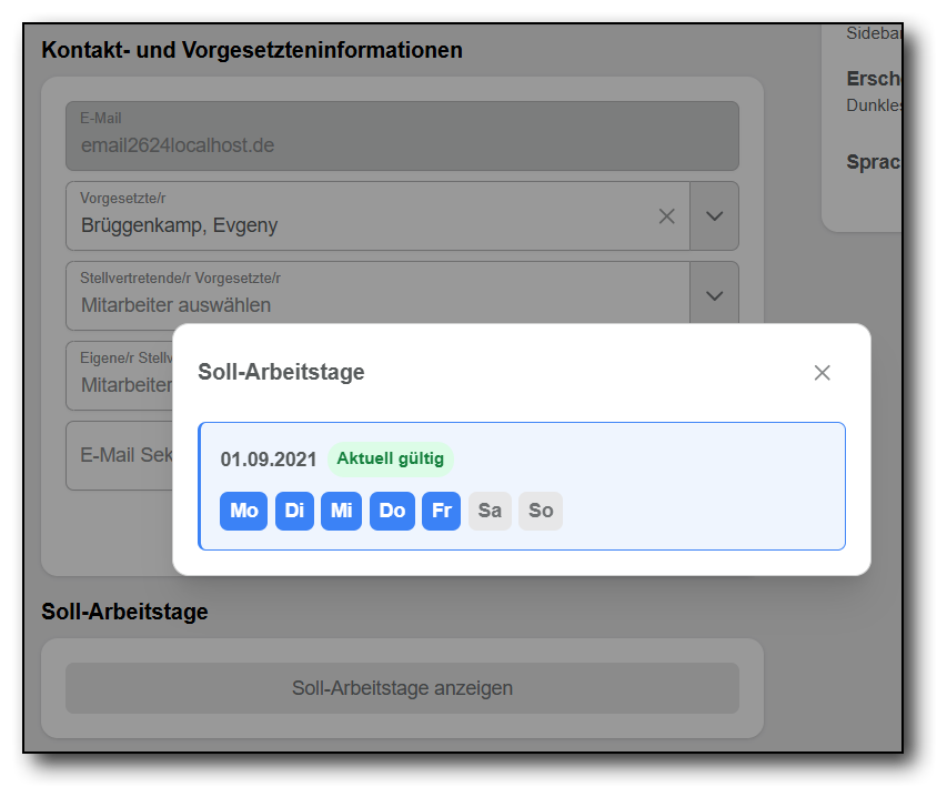Einstellungen Soll-Arbeitstage anzeigen.png
